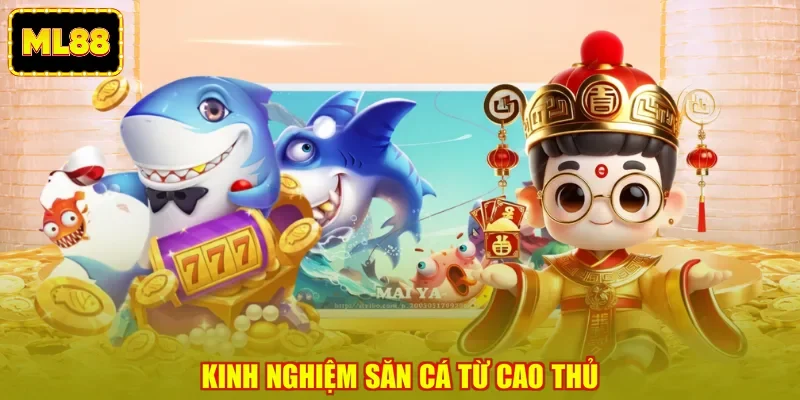 Kinh nghiệm săn cá từ cao thủ