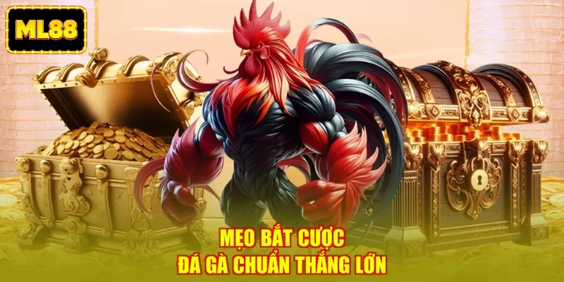 Mẹo bắt cược đá gà chuẩn thắng lớn